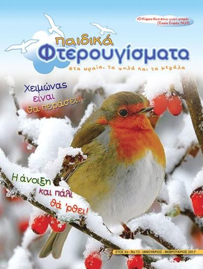 ΤΕΥΧΟΣ 13  Ιανουάριος - Φεβρουάριος 2017